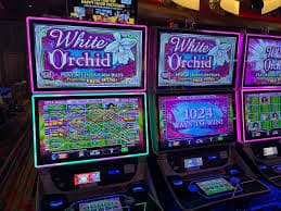 luna999 Live Roulette Gold